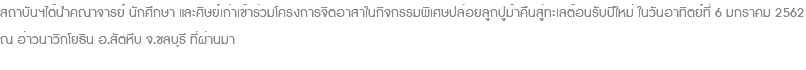 สถาบันฯได้นำคณาจารย์ นักศึกษา และศิษย์เก่าเข้าร่วมโครงการจิตอาสาในกิจกรรมพิเศษปล่อยลูกปูม้าคืนสู่ทะเลต้อนรับปีใหม่ ในวันอาทิตย์ที่ 6 มกราคม 2562 ณ อ่าวนาวิกโยธิน อ.สัตหีบ จ.ชลบุรี ที่ผ่านมา